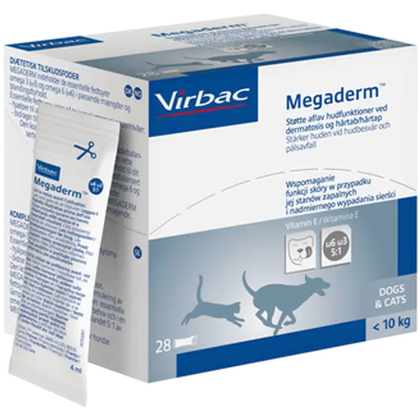 Megaderm