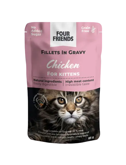 Cat Kitten Chicken in Gravy Pouch