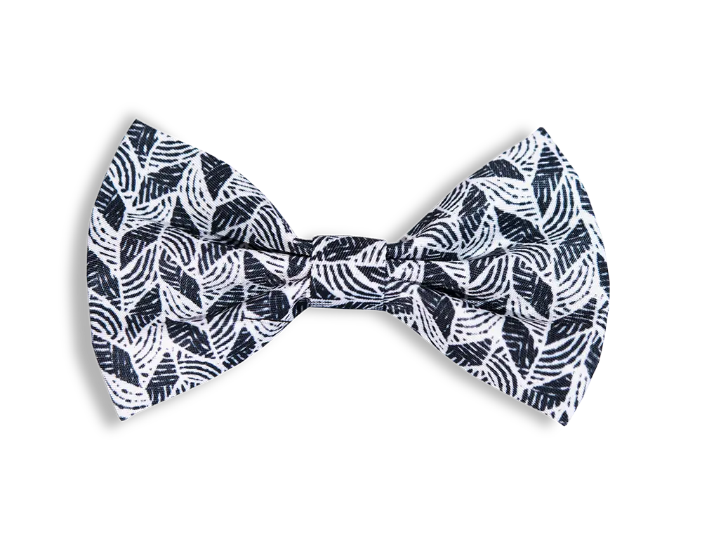 Fluga Trendish