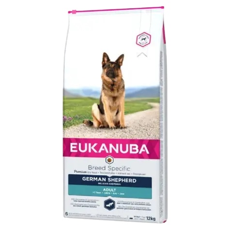Adult German Shepherd 12 kg