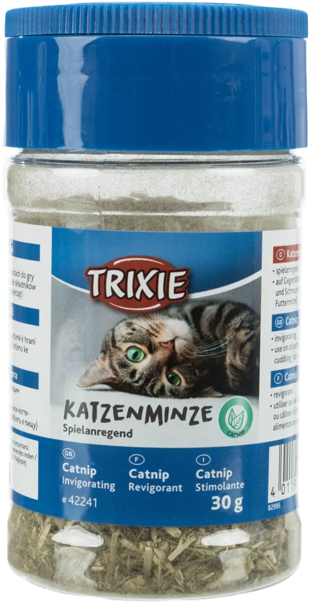 Catnip i burk
