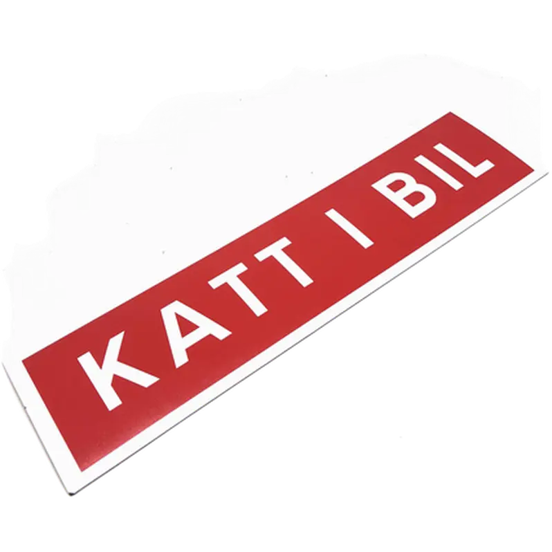 Katt I Bil