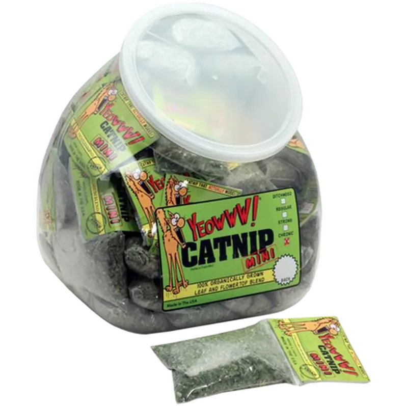 Catnip Organic Catnip Mini