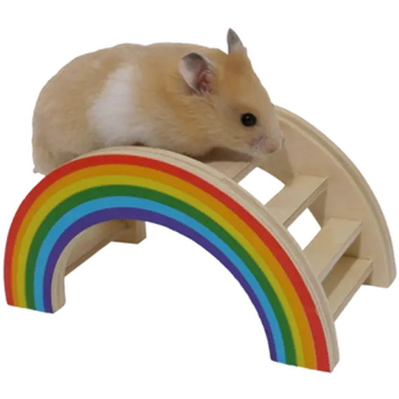 Small Animal Rainbow Play Bridge