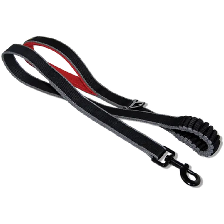 Springback Dog Leash