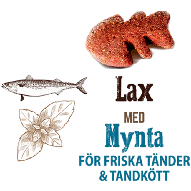 Cat Crunchy Snack Salmon & Mint