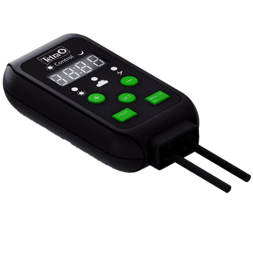 LightWave Timer