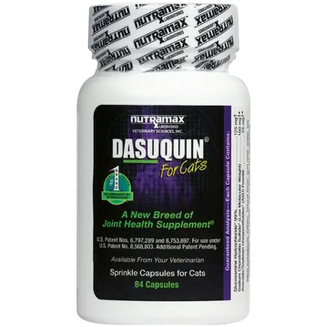 Joint Health Supplement for Cat