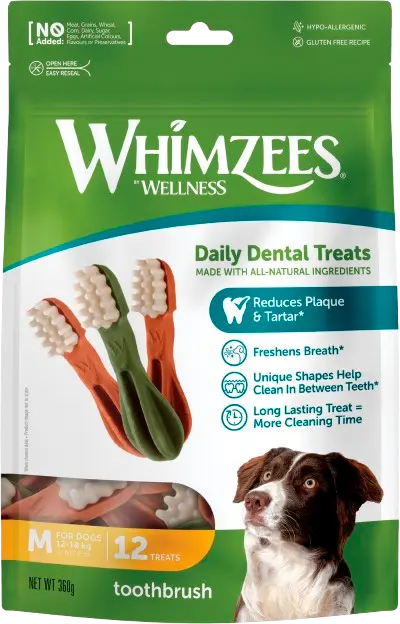 Toothbrush Star Dental