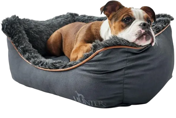 Sofa Bergamo