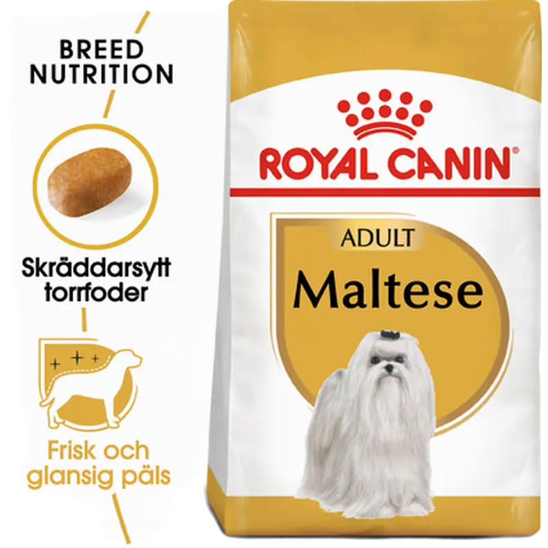 Maltese Adult Torrfoder för hund