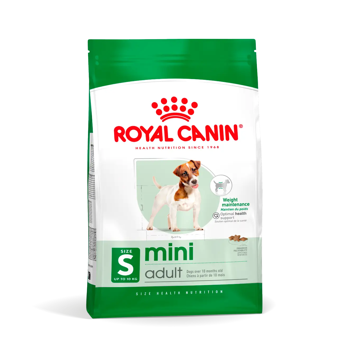 Mini Adult Torrfoder för hund