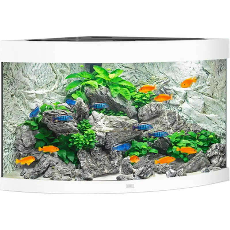 Trigon LED Aquarium
