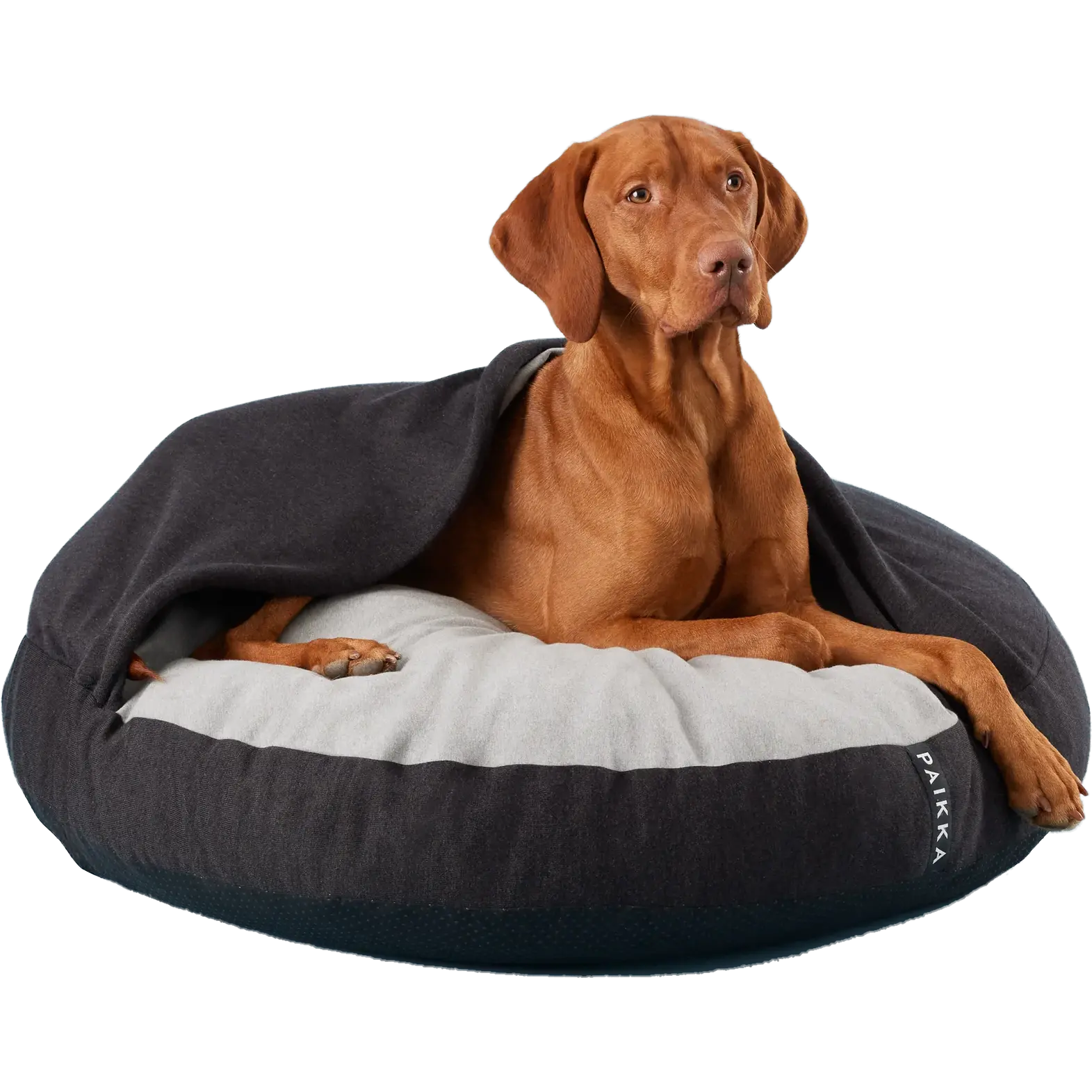 Recovery Burrow Bed