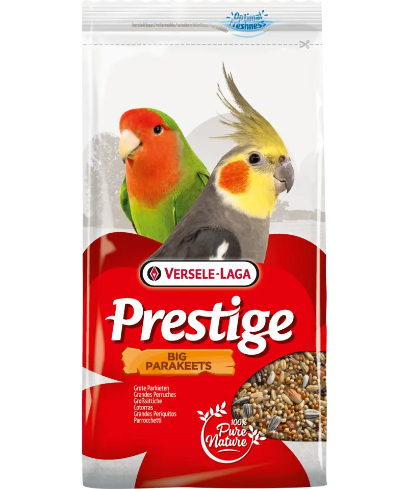 Prestige Big Parakeet (Parakit)