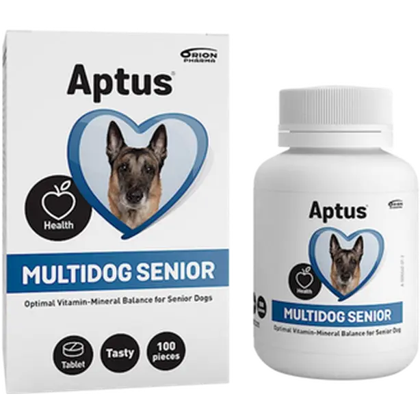 Multidog Senior