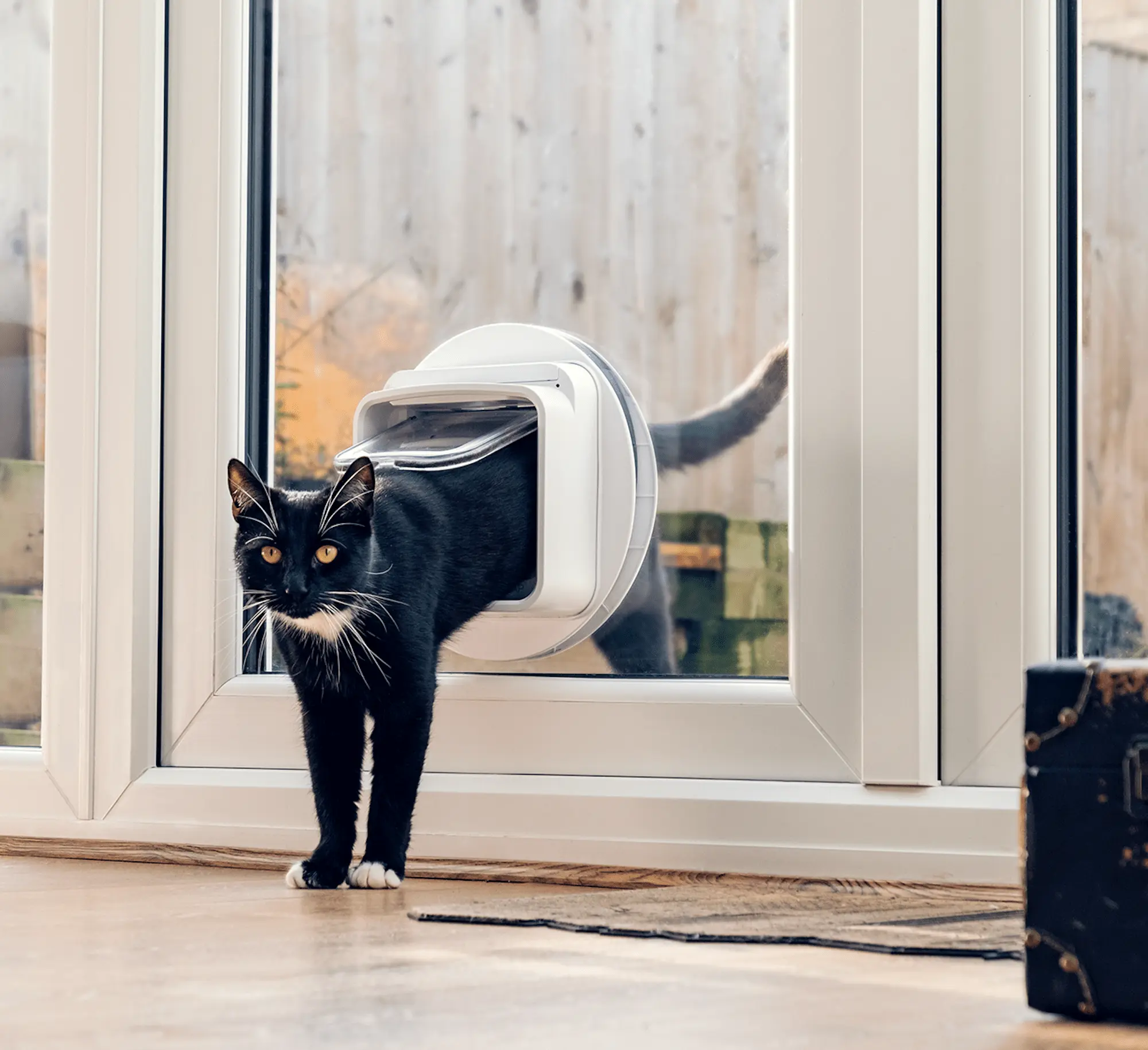 Microchip Cat Flap Connect - Endast kattlucka