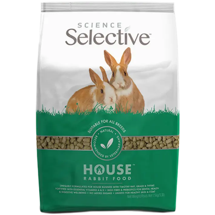 Science Selective House Rabbit