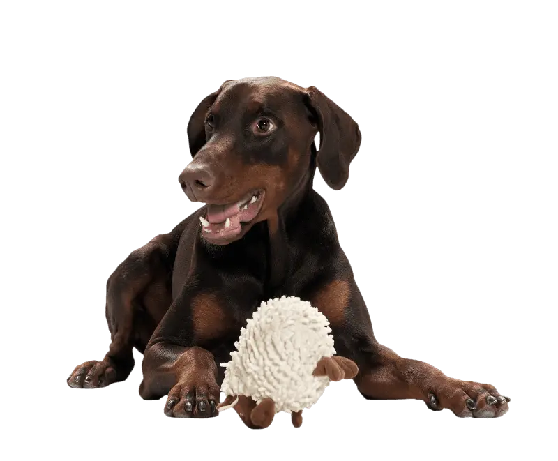 Dog Toy Snugly Sheep