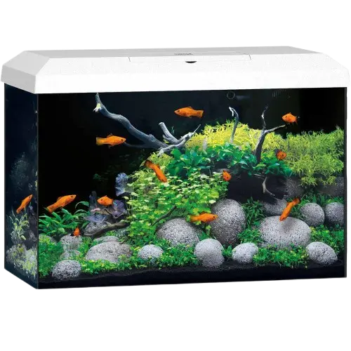 Akvarium Primo Vit 2.0