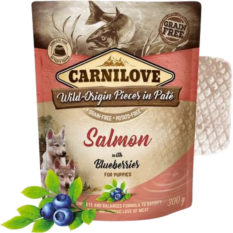 Dog Pouch Paté Salmon with berries for Puppies