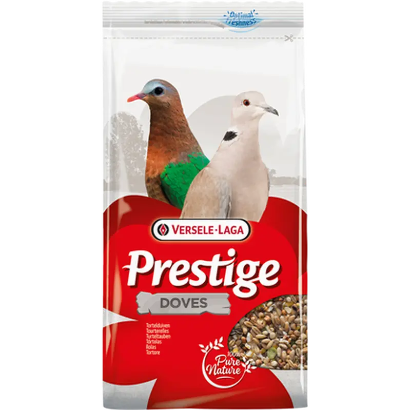 Prestige Turtledove (Duva)