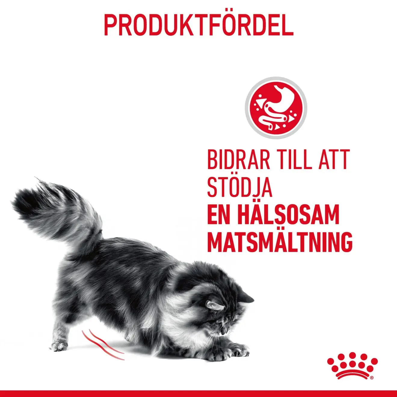 Feline Wet Digestive Care Gravy Adult Våtfoder för katt