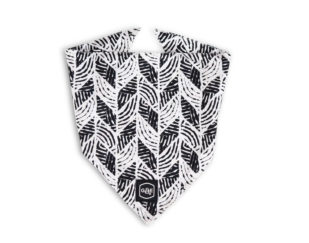 Bandana Trendish