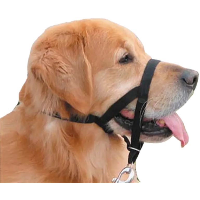 Headcollar Nosgrimma