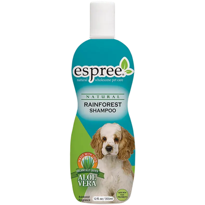 Rainforest Shampoo