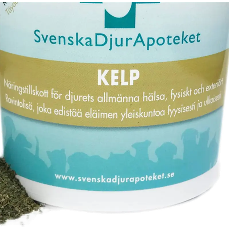Kelp