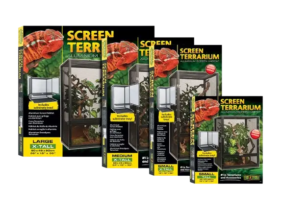 Screen Terrarium