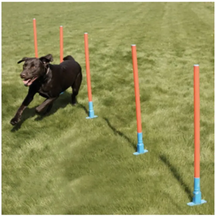 Range Slalom