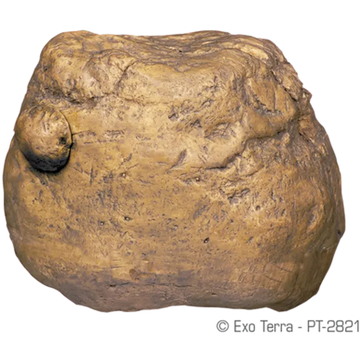 Cricket Feeder - Reptile Feeding Rock