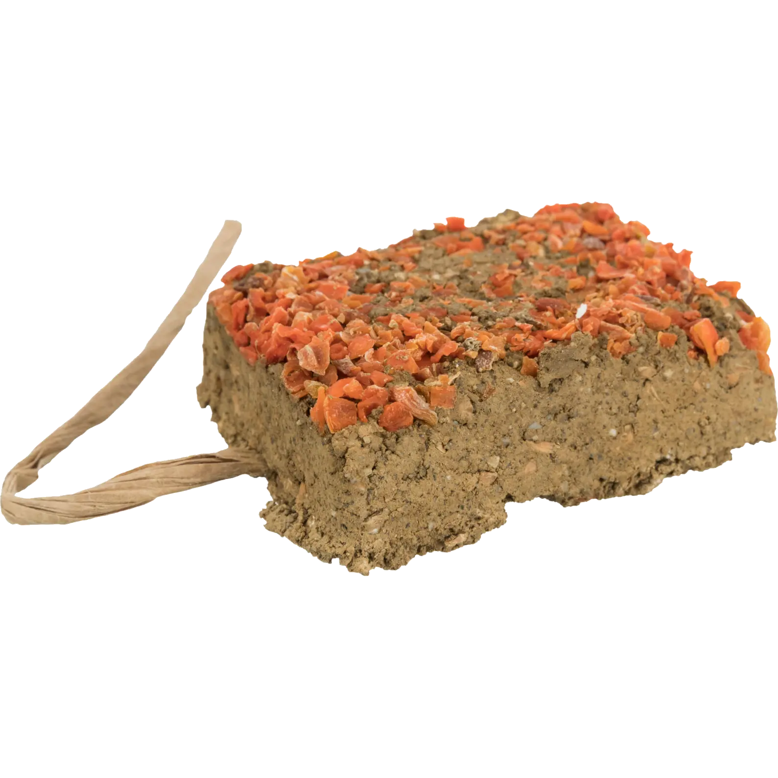 Clay Brick Carrots