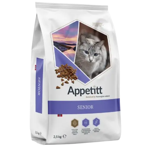 Cat Senior