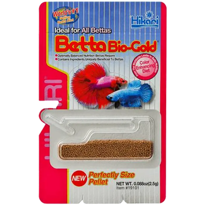 Betta Bio-Gold Kampfisk