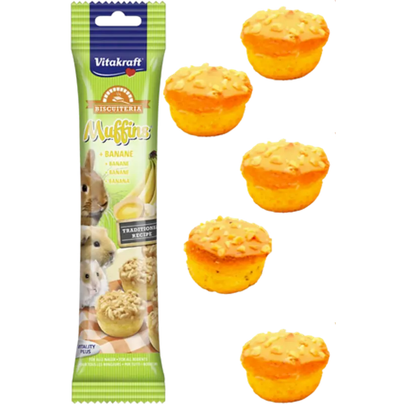 Rodent Muffins Eggs Banana