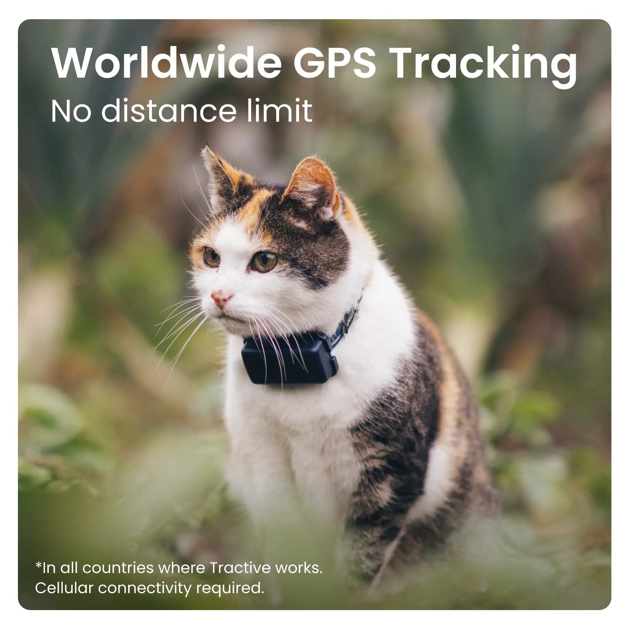CAT Mini - Katt-GPS med hälsospårning