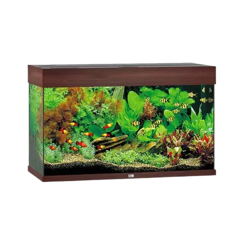 Rio LED Aquarium Dark Wood