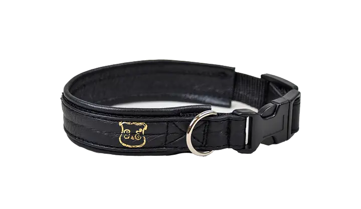 Hundhalsband Ställbart Skinn Svart